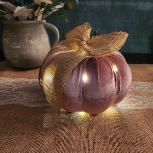 Velvet Pumpkin pink with fairy lights